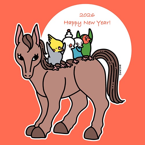 新年明けましておめでとうございます！