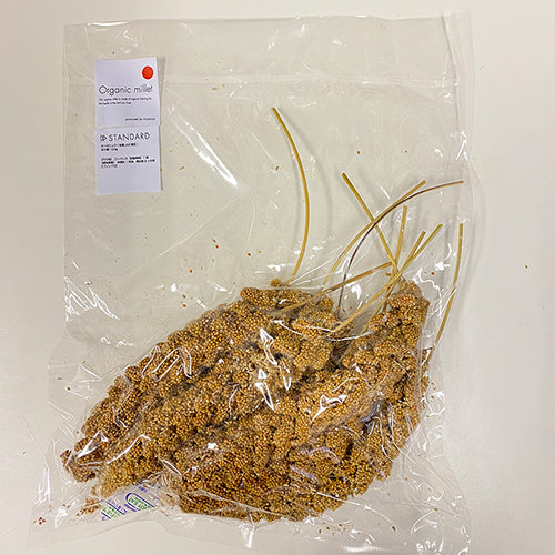赤あわ穂大人気です！