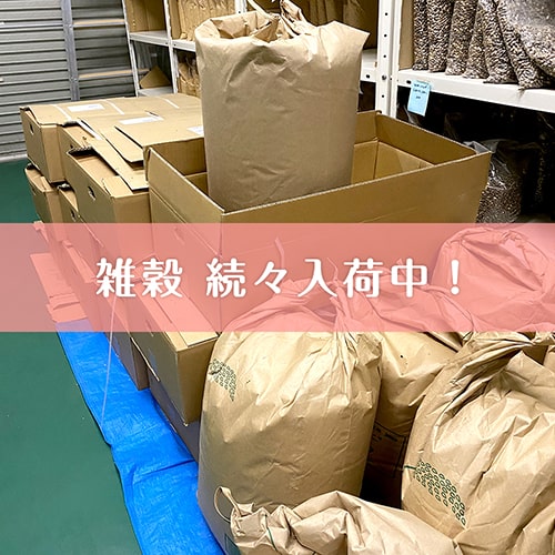 コツコツ作業の繰り返し