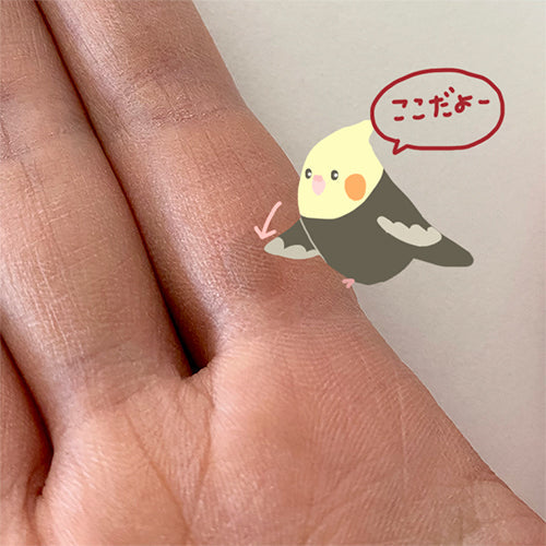 節分の日に