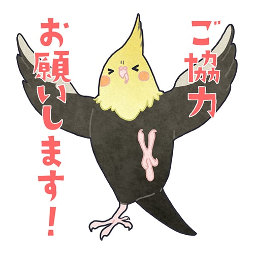メールアドレスご確認のお願いです！