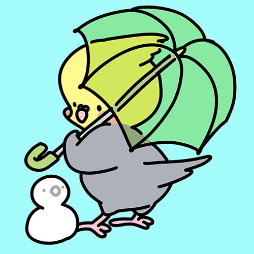 2月19日は「雨水」愛鳥と迎える早春の準備
