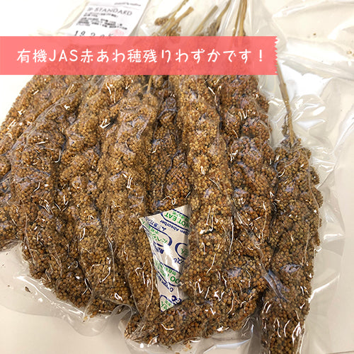 有機JAS赤あわ穂、残りわずかです