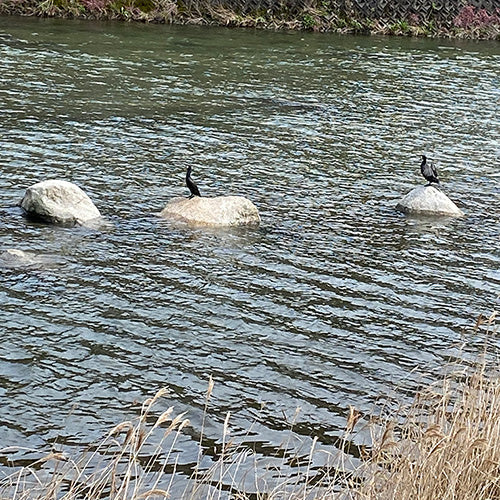 じっとしている