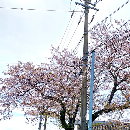 今回はゆるっとしております