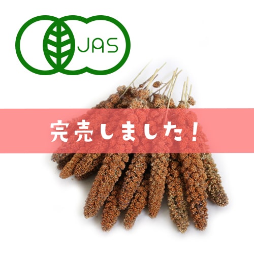 赤あわ穂完売いたしました！