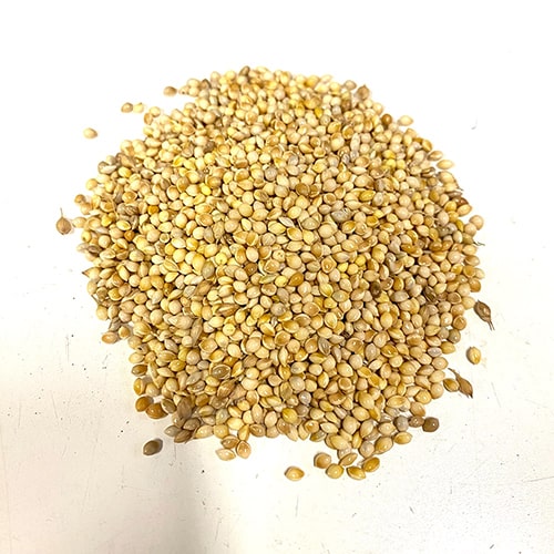 きびが新しくなりました！