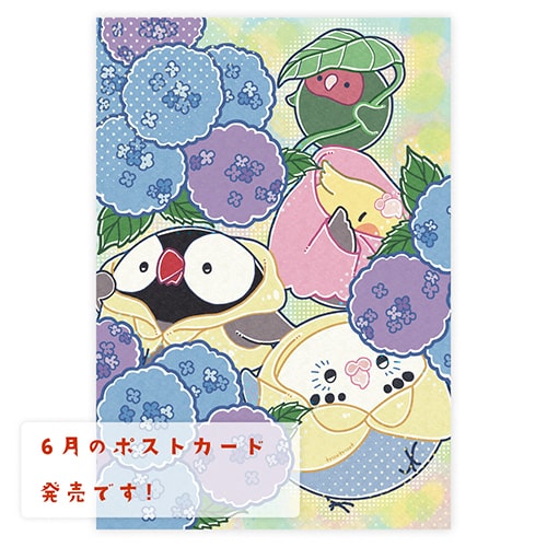 もちまるず6月のポストカード発売です！