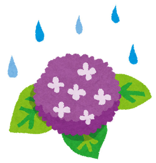 梅雨？初夏？