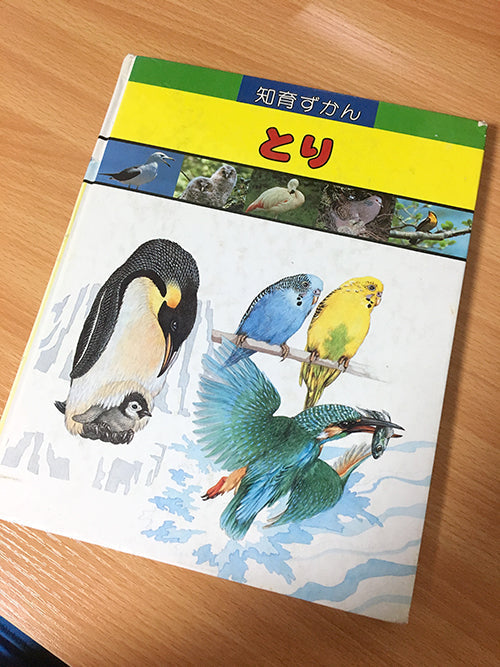 6月は幸せの時期！オシドリだけじゃない仲良しな鳥たち