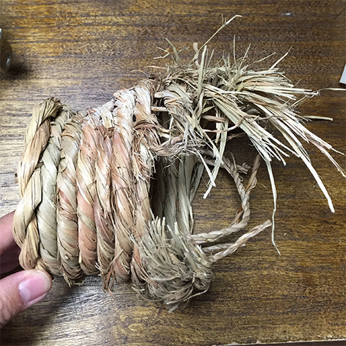 文鳥の日だから、新居をプレゼント！