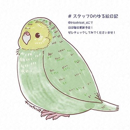 Twitterで始めました