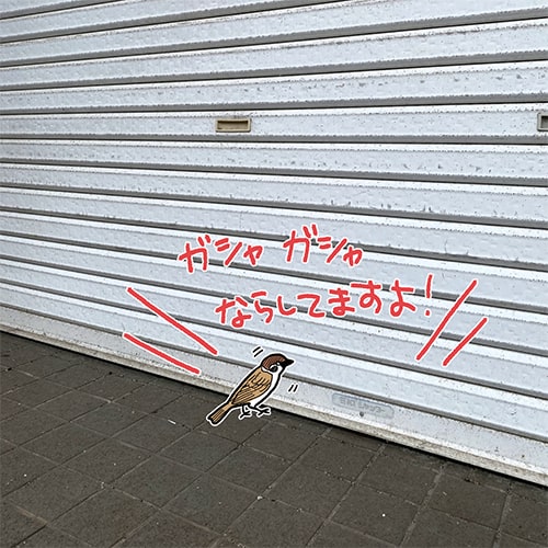 シャッターと〇〇と私