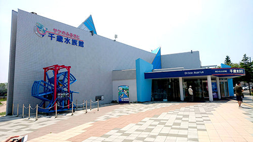 水族館にも鳥がいた