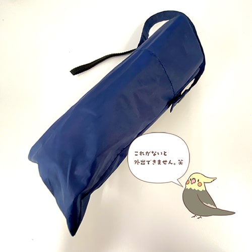 この夏の救世主 その２