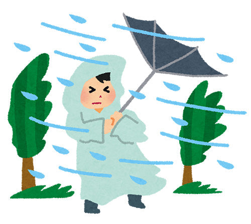 台風、そして台風