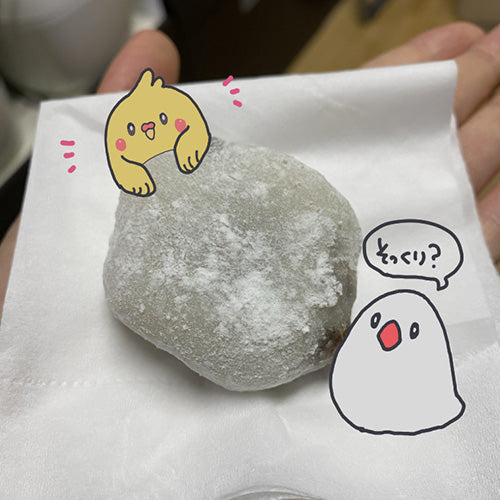 似てる？