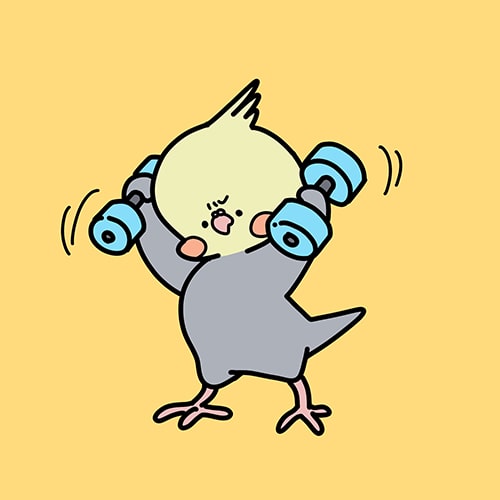 スポーツの日こそ愛鳥の運動に注目してみましょう！