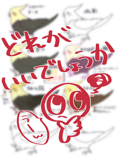 どれにしようかな