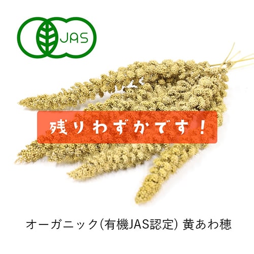 ご注文はお早めに！