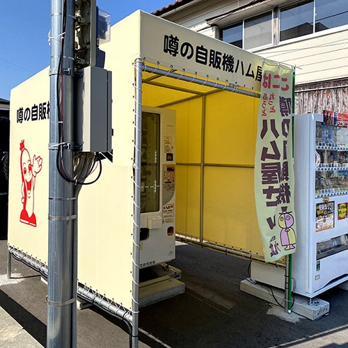 衝撃的な出会い