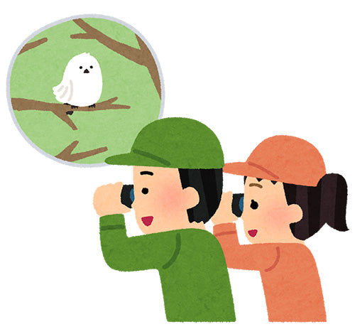観察の秋