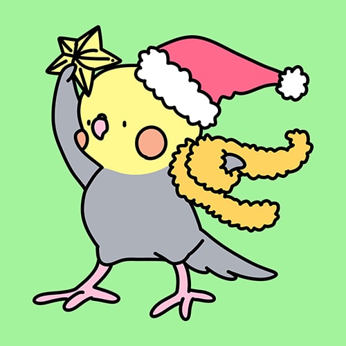 愛鳥が主役のクリスマス！インコと文鳥のための安全な飾り付け