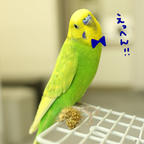 あわ穂デカ！