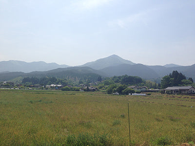 オーガニック雑穀の産地レポ