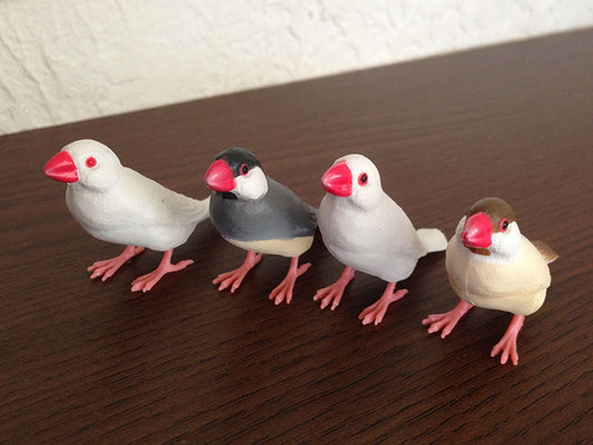 ことりコレクター