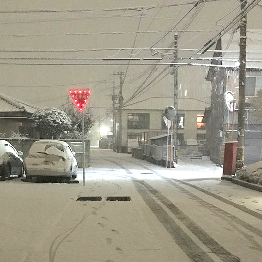 雪降る夜に...