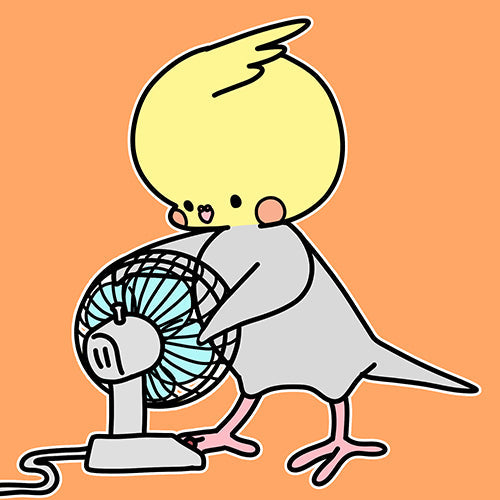 【体調管理】湿気対策と初夏の過ごし方