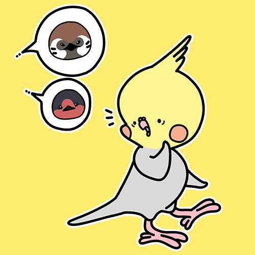 窓の外が賑やか！愛鳥さんと野生の鳥のおしゃべりタイム