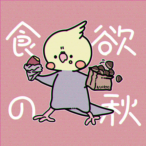 いよいよ秋到来！愛鳥さんの体調管理とスキンシップのポイント