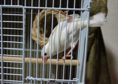鳥さんたちの裏側を直撃！