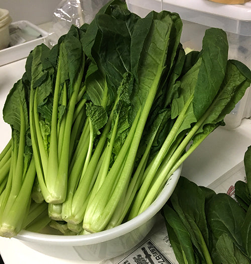 有機JAS小松菜粉ができるまで