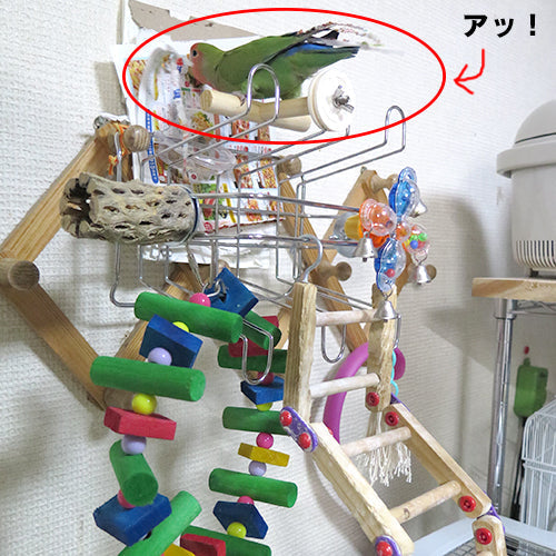 鳥さんアスレチック