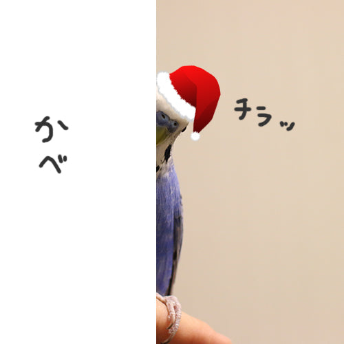 ○○○が町にやってくる