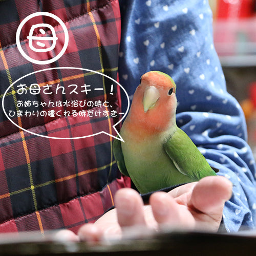 鳥さんのパートナー認定