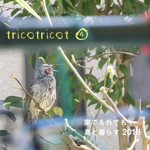 月刊 tricotricot 4月号の表紙はヒヨドリです。