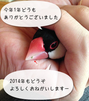 今年1年ありがとうございました！