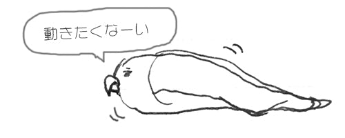 鳥たちは見た