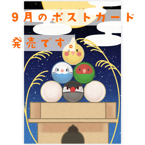 もちまるず9月のポストカード発売です！