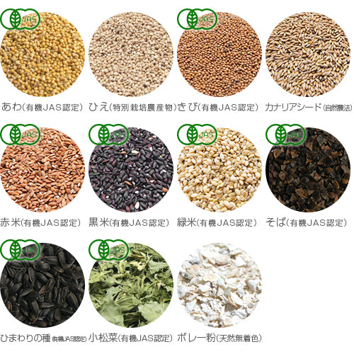 【スタンダード】オーガニック(有機JAS認定)雑穀配合 コザクラインコスタンダードブレンド500g 保存ビン+スプーンセット