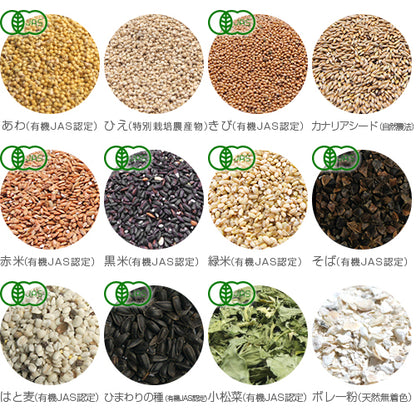【スタンダード】オーガニック(有機JAS認定)雑穀配合 オカメインコスタンダードブレンド500g 保存ビン+スプーンセット