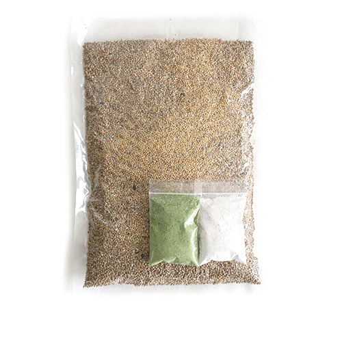 【スタンダード】オーガニック(有機JAS認定)雑穀配合 文鳥スタンダードブレンド500g 保存ビン+スプーンセット