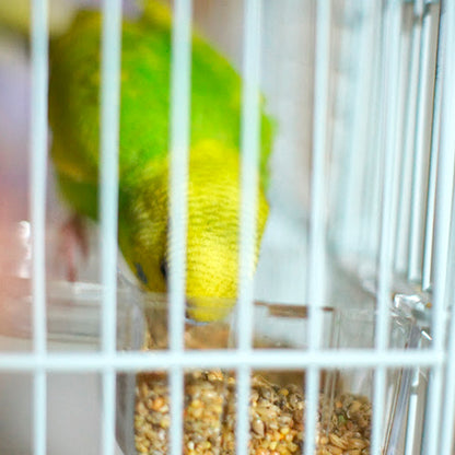 【スタンダード】オーガニック(有機JAS認定)雑穀配合 セキセイインコスタンダードブレンド500g 保存ビン+スプーンセット