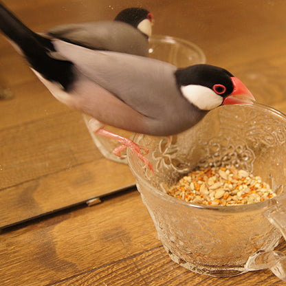 【換羽期・抱卵期用】オーガニック(有機JAS認定)雑穀配合 文鳥ファットブレンド300g 保存ビン+スプーンセット
