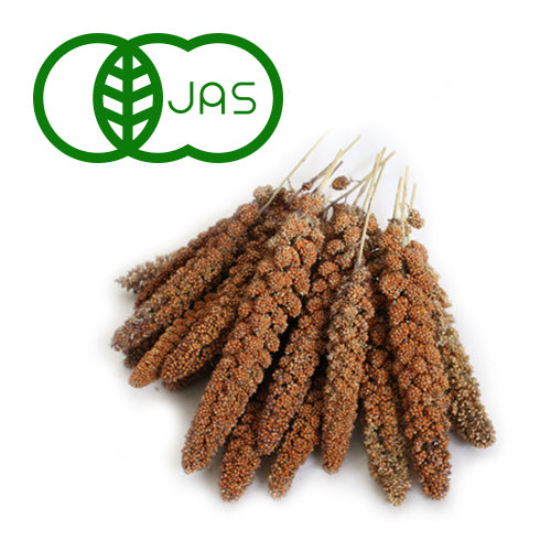 オーガニック(有機JAS認定)赤あわ穂 100g