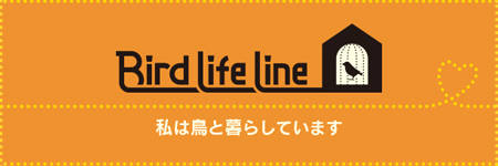 BLL(Bird Life Line)カード・シート・ステッカーセット